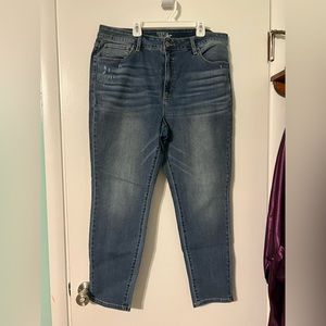 Time and Tru High Rise Skinny Jean